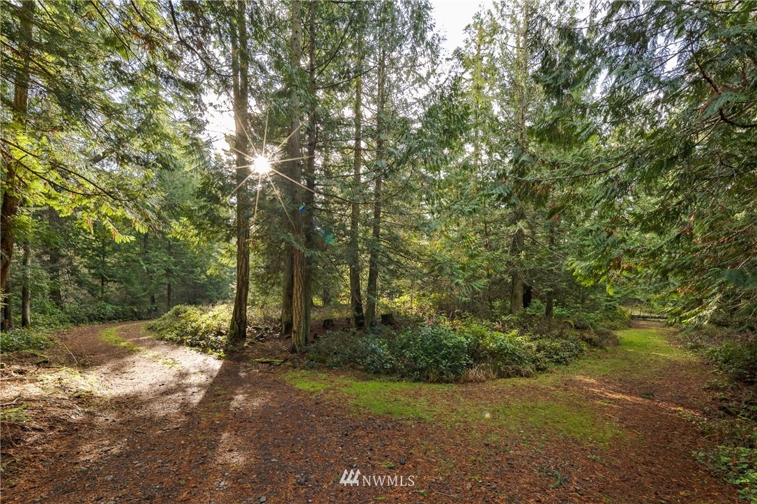-14xx Neck Point Road Shaw Island, WA 98286 - Photo 14 of 19 a view of a forest with trees in the background