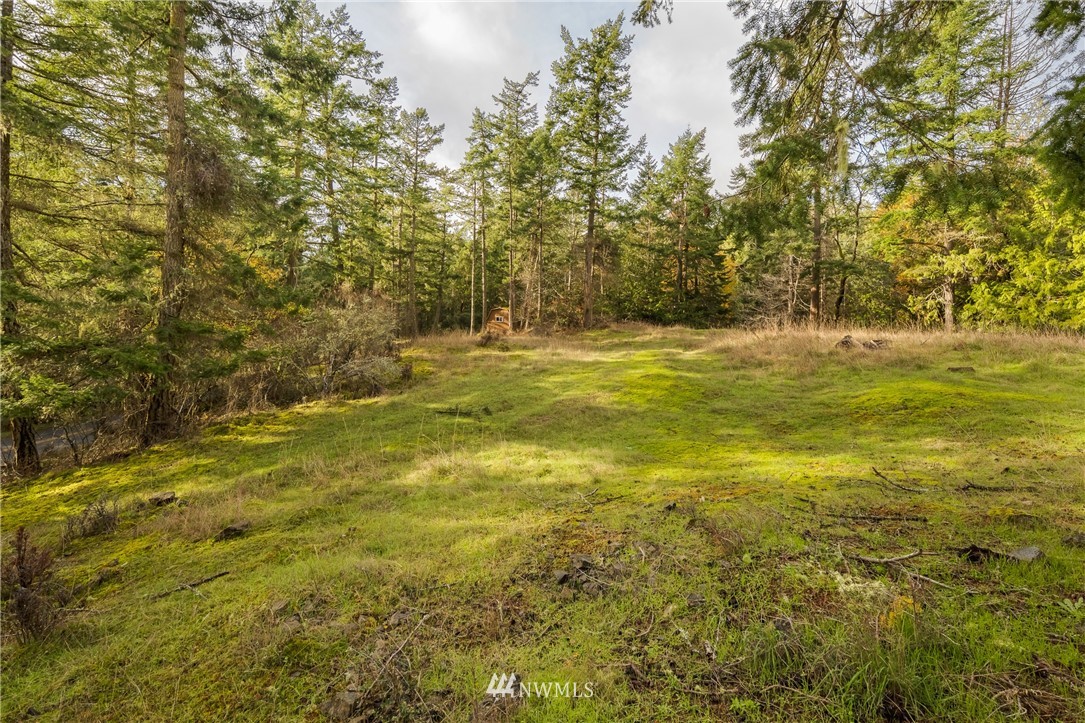 -14xx Neck Point Road Shaw Island, WA 98286 - Photo 15 of 19 a view of beach and small yard
