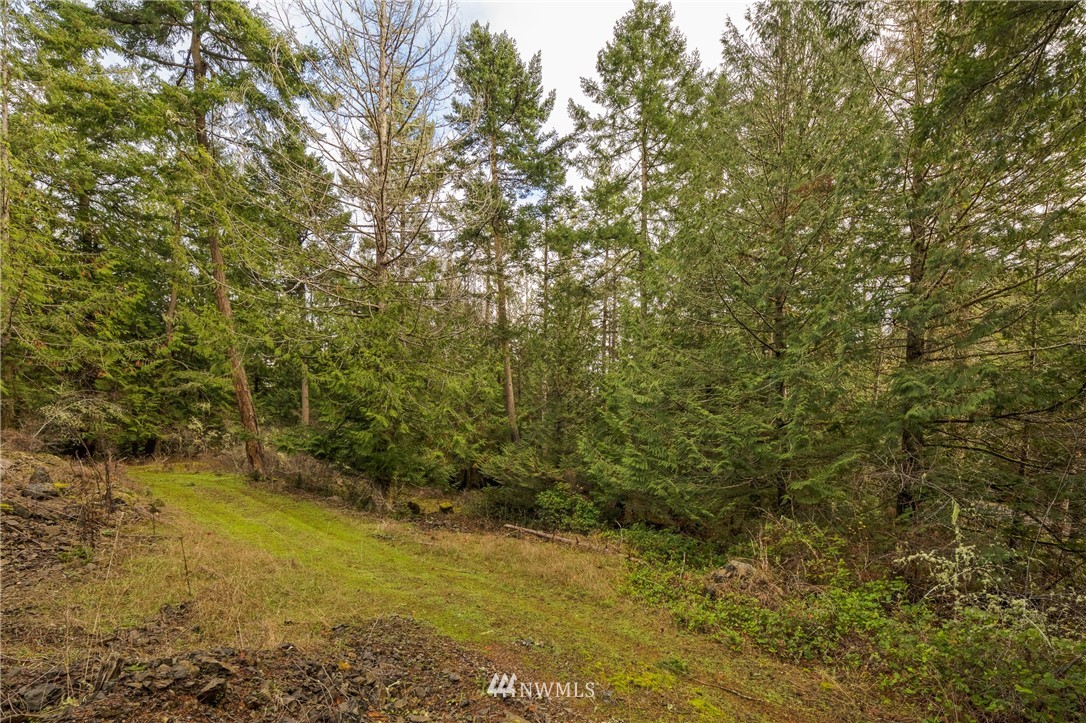 -14xx Neck Point Road Shaw Island, WA 98286 - Photo 4 of 19 a view of a yard with a tree
