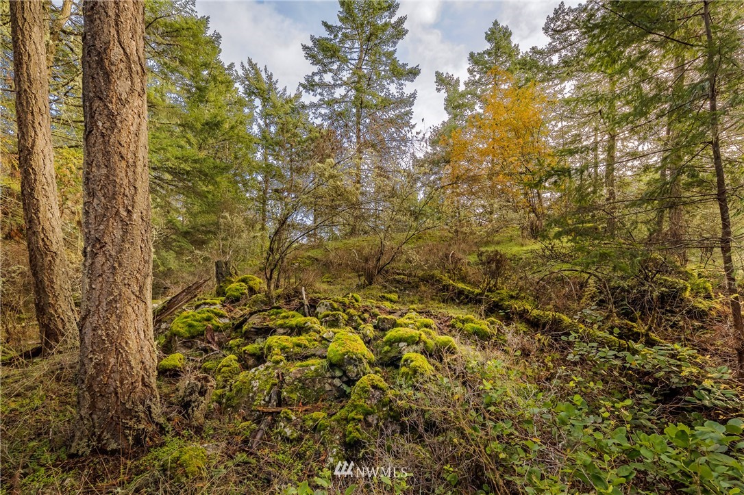 -14xx Neck Point Road Shaw Island, WA 98286 - Photo 7 of 19 a view of a yard