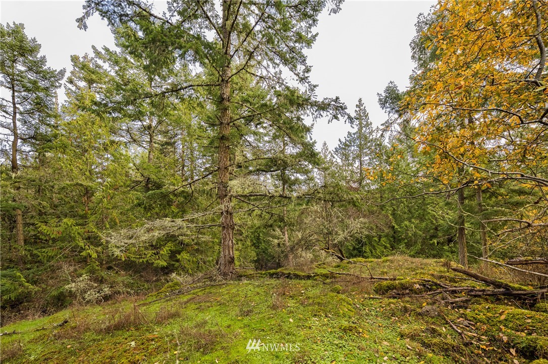 -14xx Neck Point Road Shaw Island, WA 98286 - Photo 9 of 19 a view of a yard