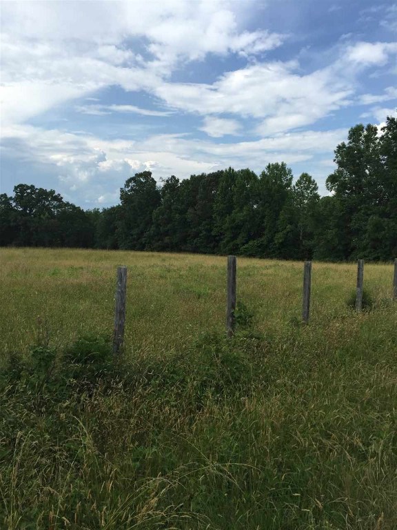 Lot Duncan Duncan Creek Church Road Clinton, SC 29325 - Photo 1 of 8 Gallery Image 1