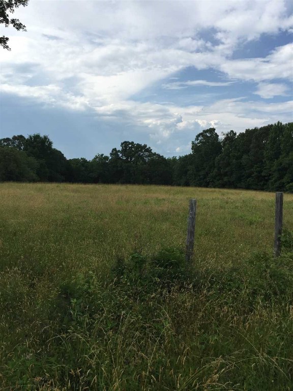 Lot Duncan Duncan Creek Church Road Clinton, SC 29325 - Photo 2 of 8 Gallery Image 2