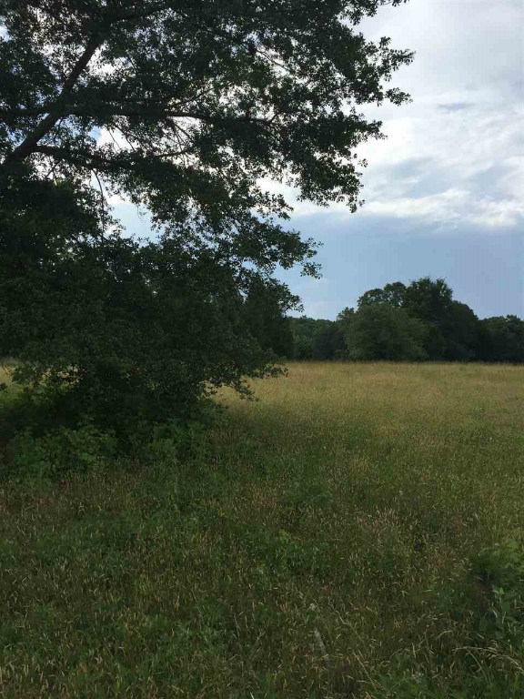 Lot Duncan Duncan Creek Church Road Clinton, SC 29325 - Photo 3 of 8 Gallery Image 3