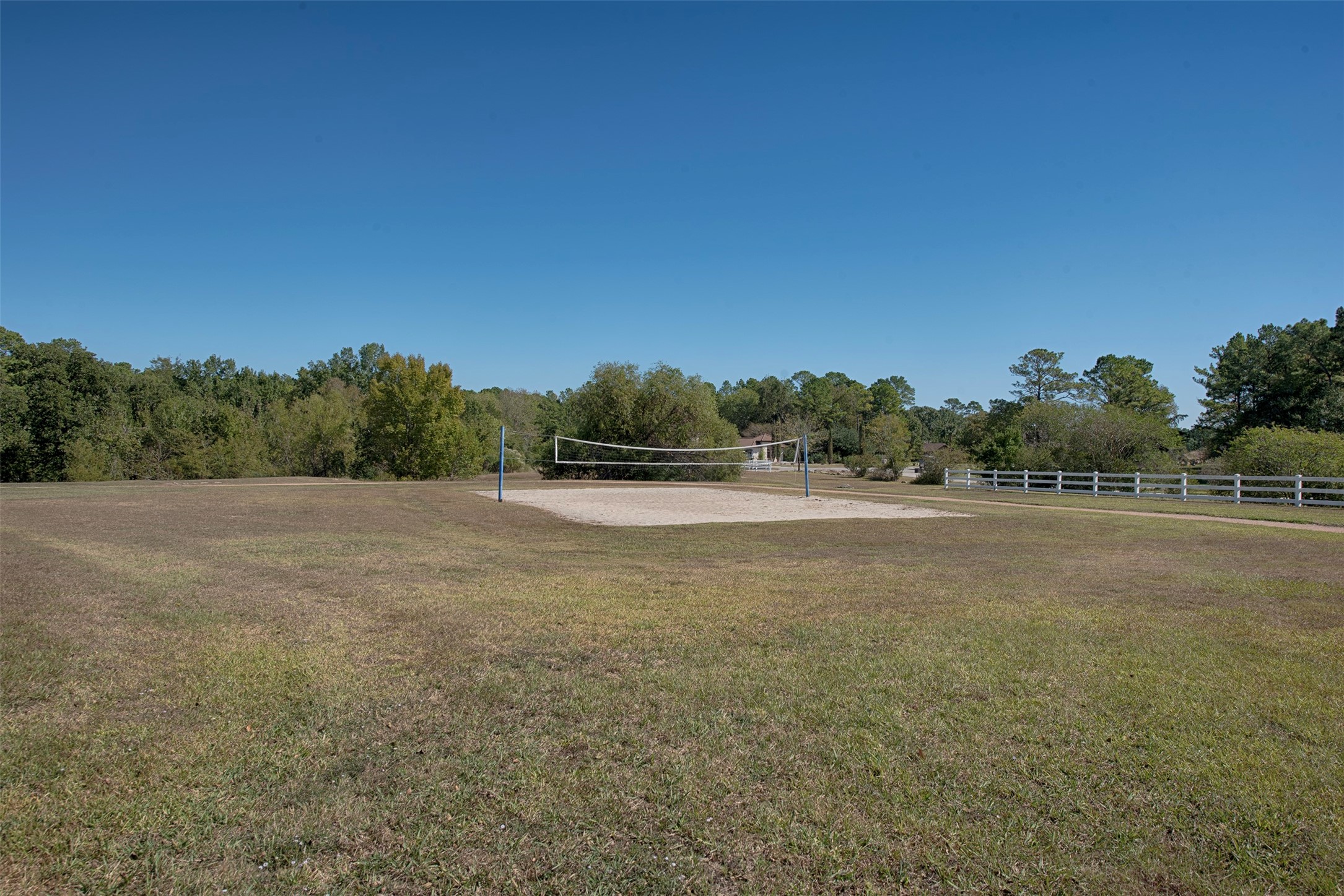 11690 Renaissance Drive Montgomery, TX 77356 - Photo 24 of 25 a view of a field with trees in background
