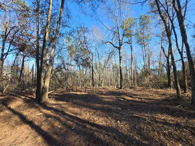 $110,000 | 15.5 A Berry Lane, Beech Island, SC 29842