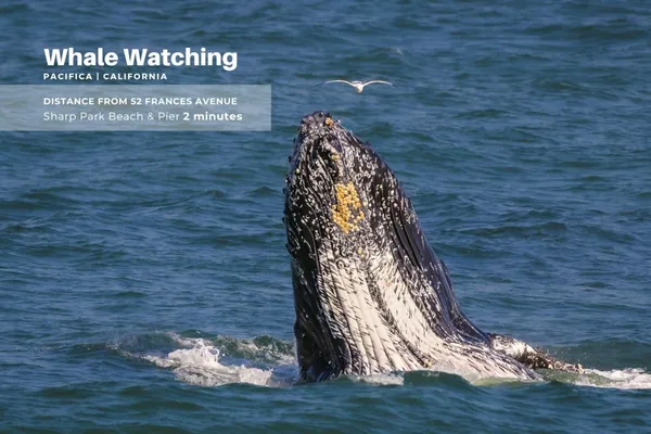 $2,300,000 | 52 Frances Avenue, Pacifica, CA 94044