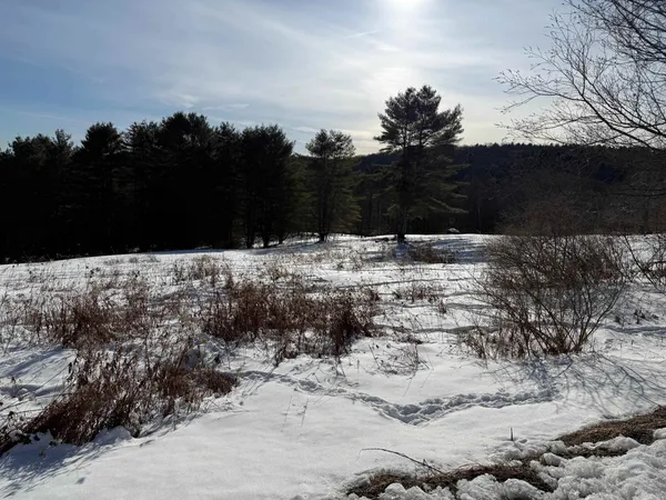 $350,000 | 0 Pero Hill Road, Thetford Center, VT 05075