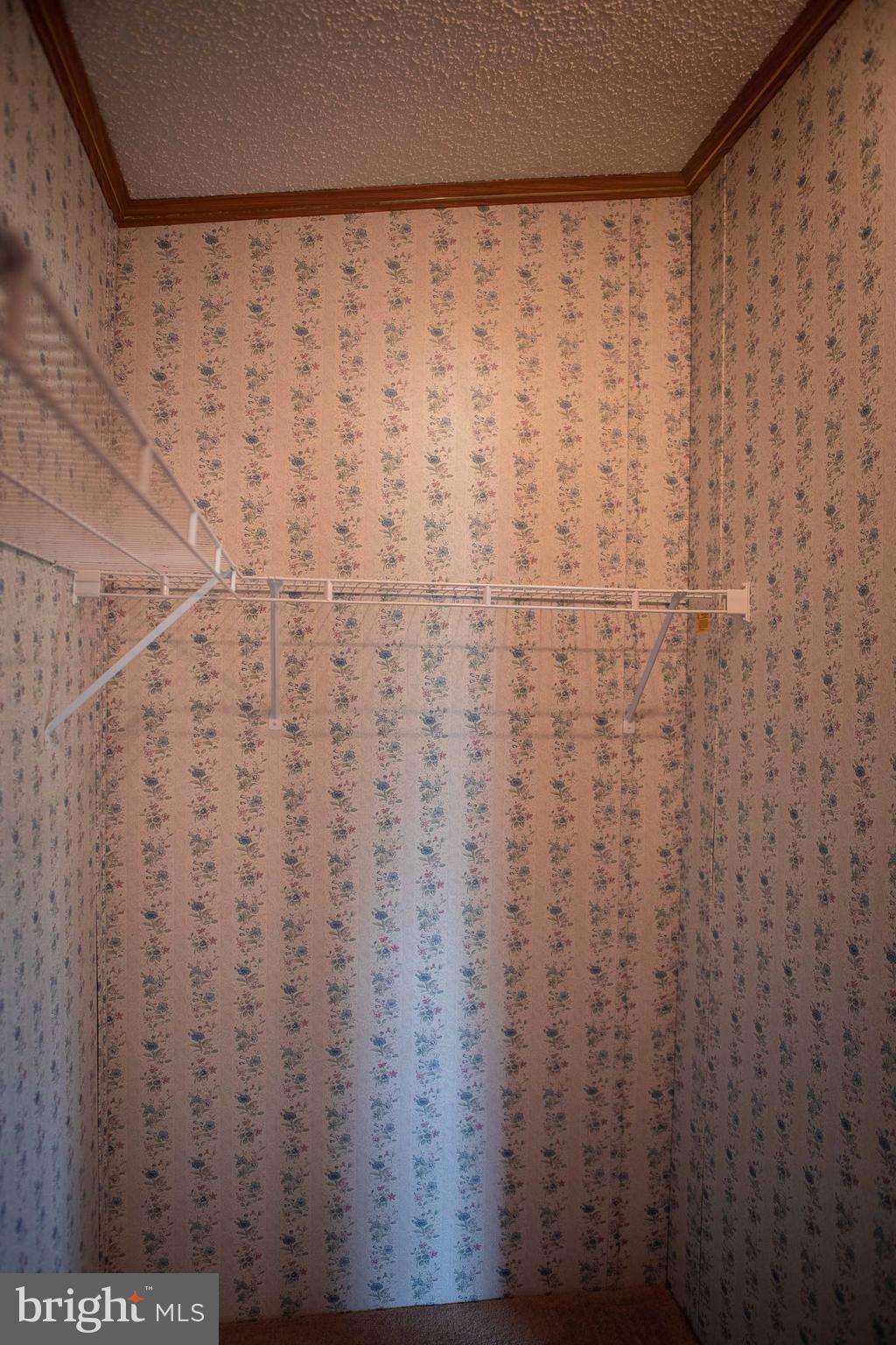 2565 Warm Spring Road Chambersburg, PA 17202 - Photo 6 of 32 Master Walk-In Closet
