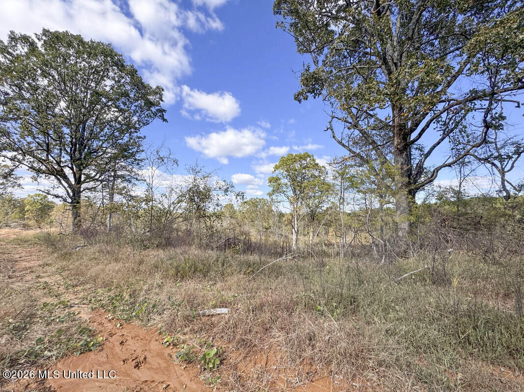 154 County Road Tillatoba, MS 38961 - Photo 40 of 58 4kgrdnyba4-orig_orig