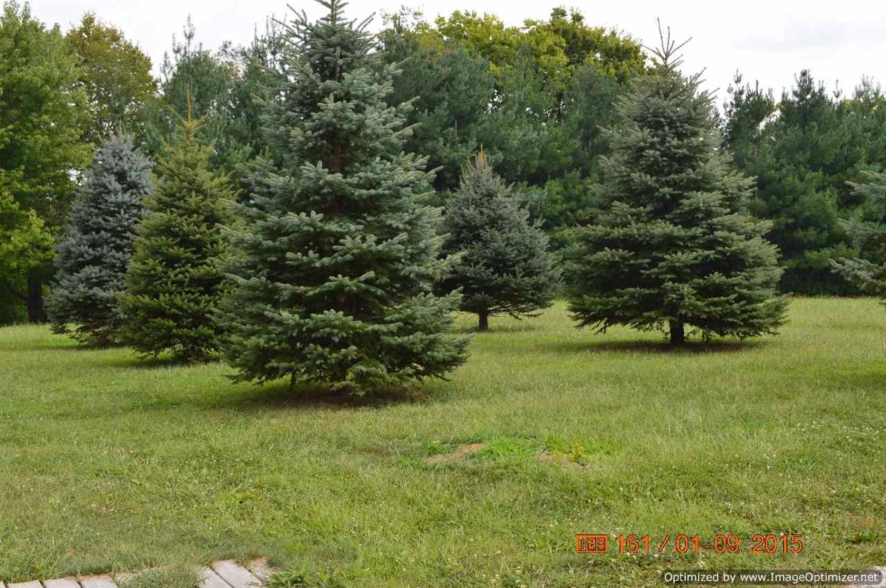 3571 Leatherwood Road Bedford, IN 47421 - Photo 24 of 24 Gallery Image 24