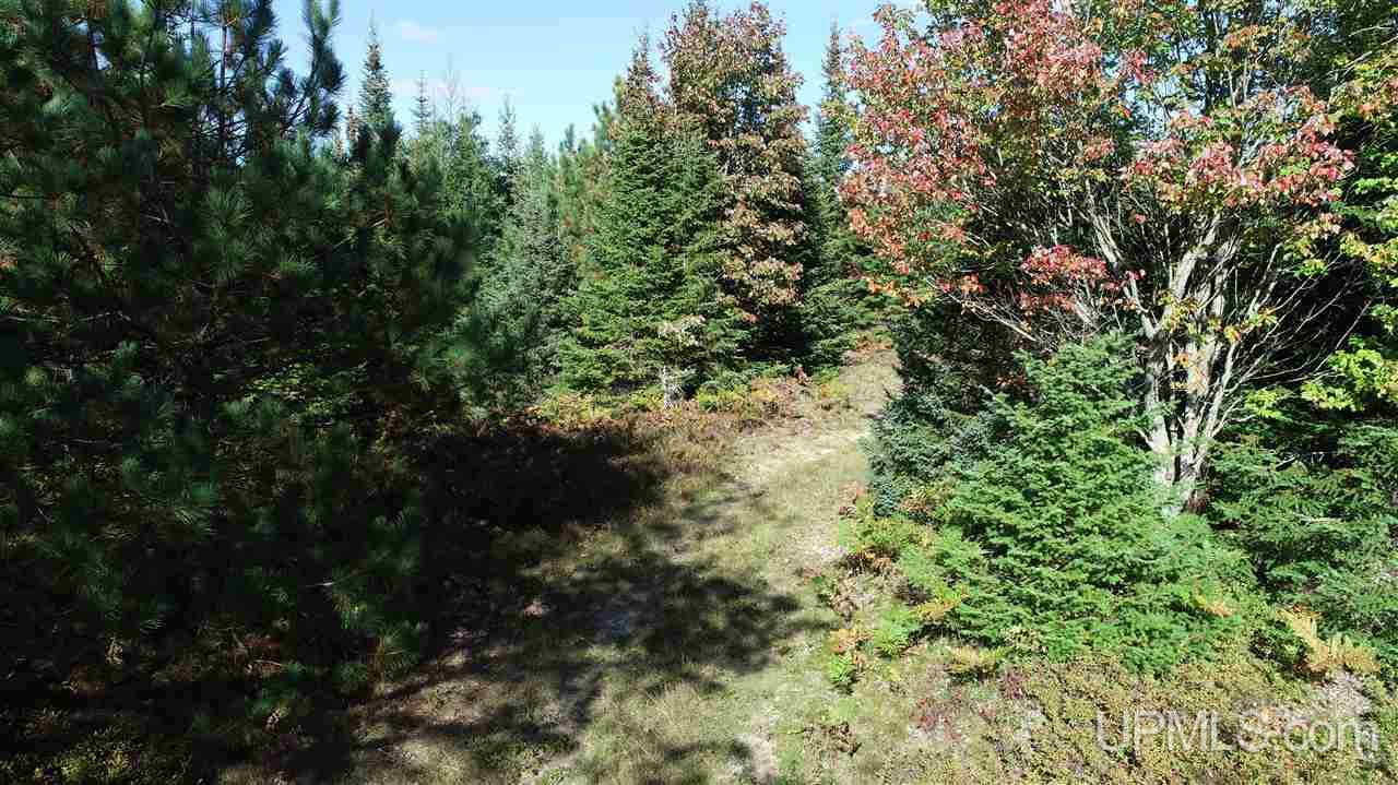 1480 Acres On Co Road Manistique, MI 49854 - Photo 48 of 49