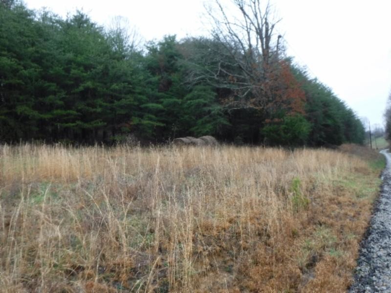 2 Arrowhead Road Moss, TN 38575 - Photo 3 of 13 a view of a lake view