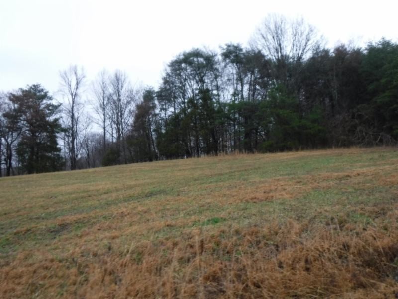 2 Arrowhead Road Moss, TN 38575 - Photo 4 of 13 a backyard of a house with lots of green space