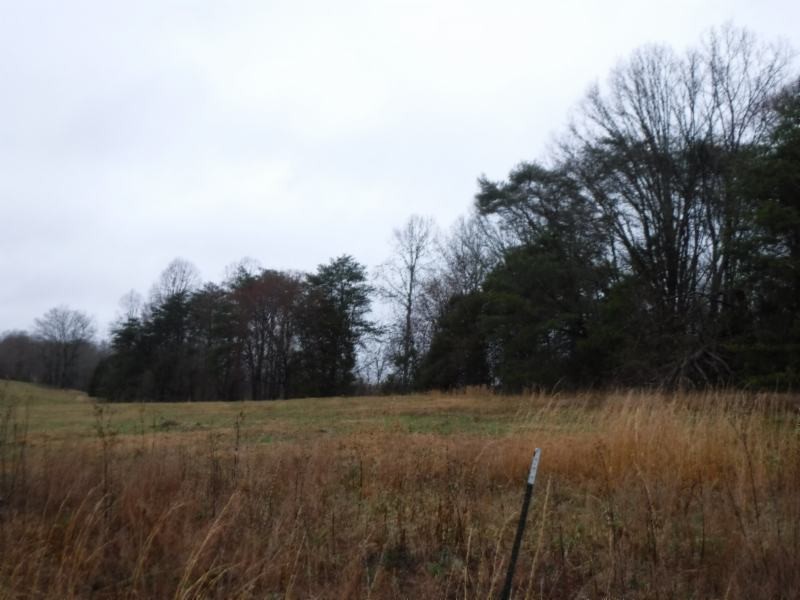 2 Arrowhead Road Moss, TN 38575 - Photo 5 of 13 a view of backyard with green space