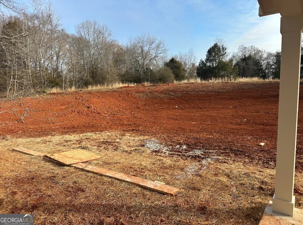 329 Ridgewood Road Jefferson, GA 30549 - Photo 11 of 12 a view of a yard with an empty space