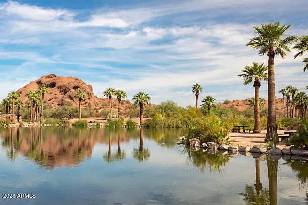 a view of a lake with palm trees