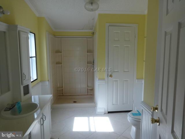 36820-3 3 Bridges Road Willards, MD 21874 - Photo 9 of 17