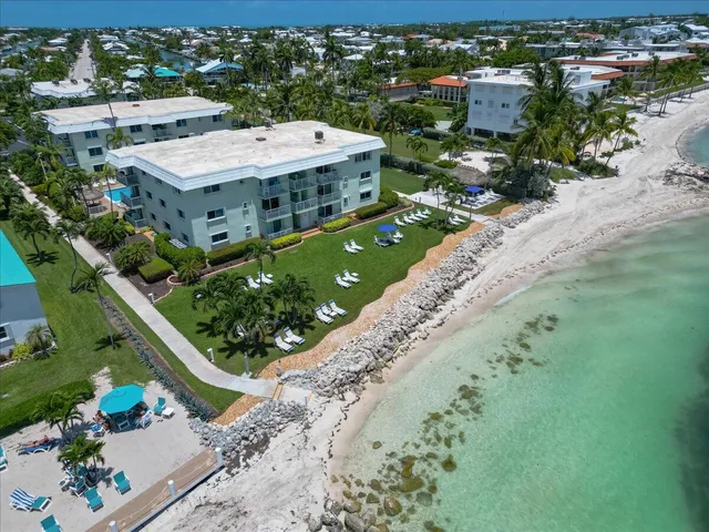 an aerial view of a house with a garden