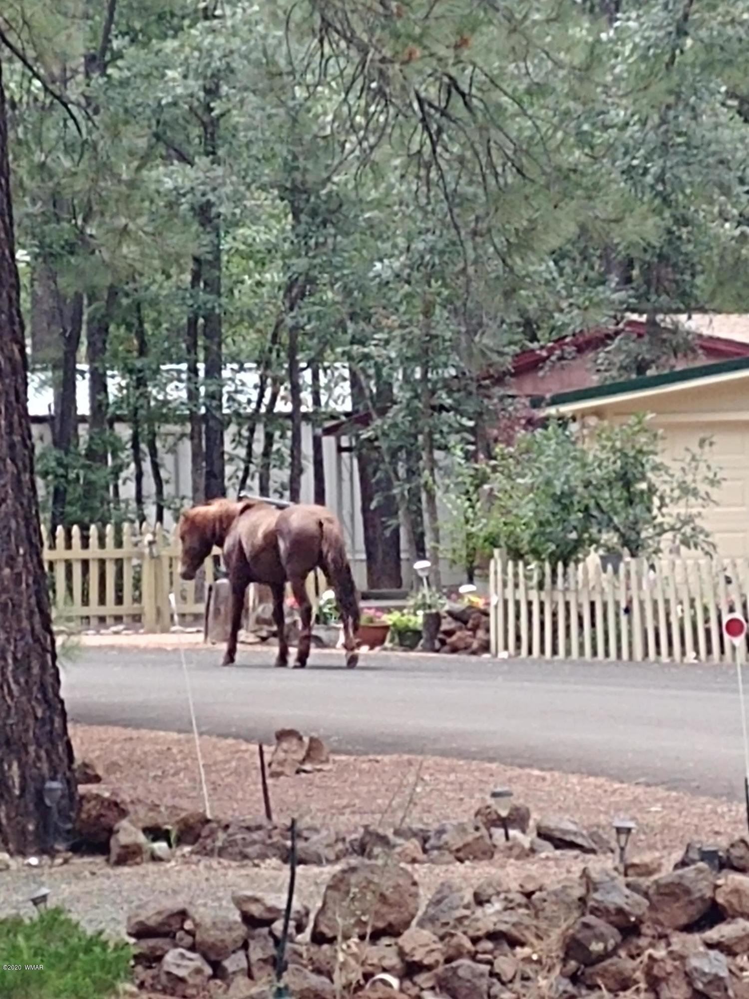 4321 South Blue Ridge Loop, Unit 3 Pinetop, AZ 85935 - Photo 17 of 18
