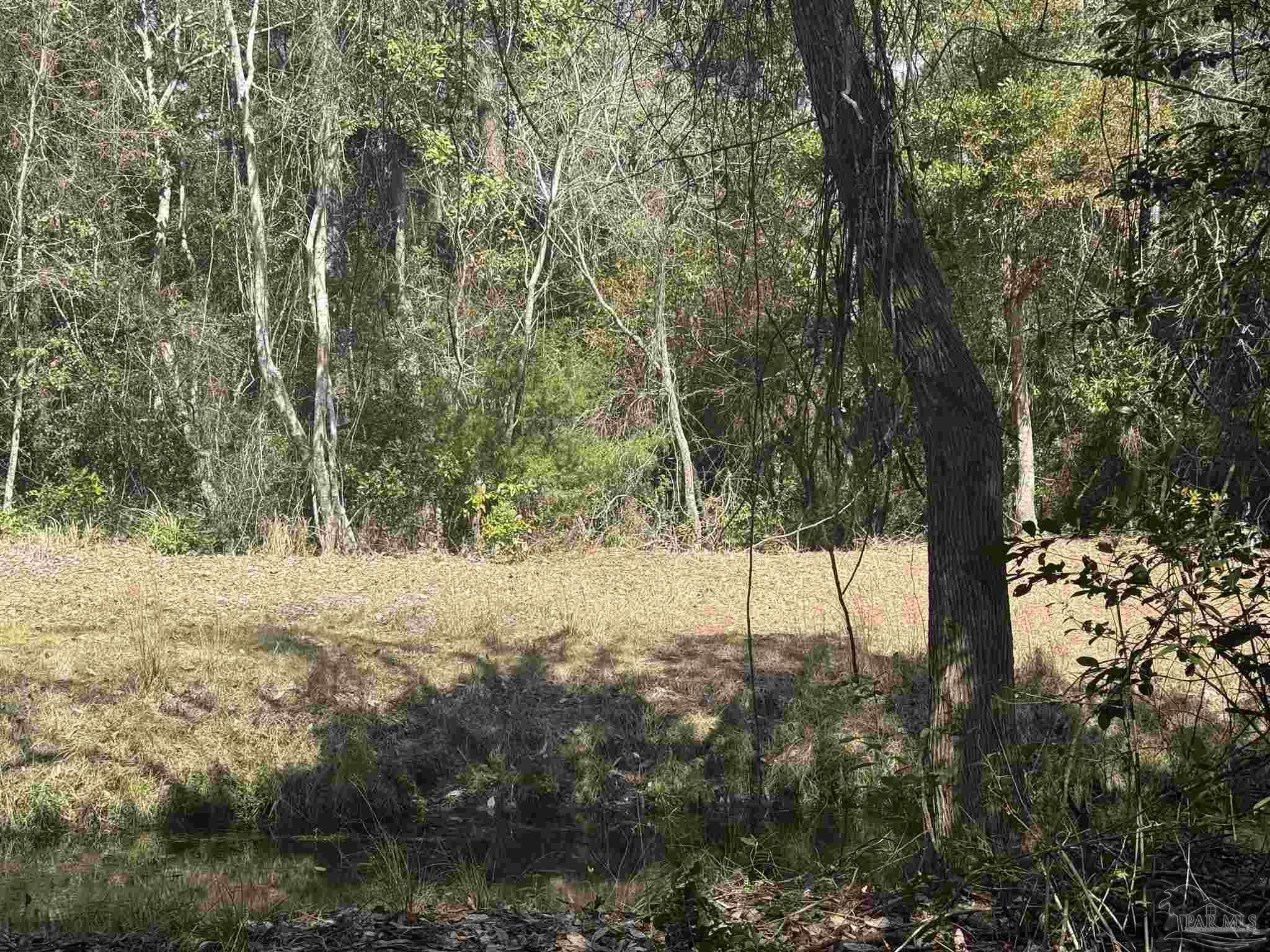 654 Nix Road Pensacola, FL 32506 - Photo 11 of 11 a view of empty yard with plants and trees