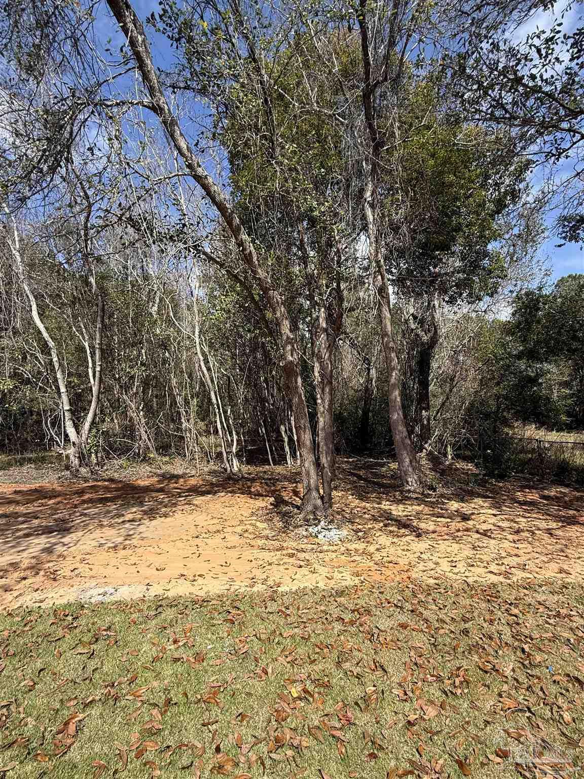 654 Nix Road Pensacola, FL 32506 - Photo 10 of 11 a view of a yard with a tree