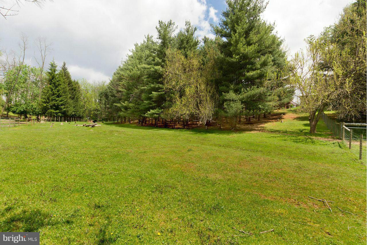 21626 Orwig Road Freeland, MD 21053 - Photo 25 of 30 Great natural setting for self-sufficient living!