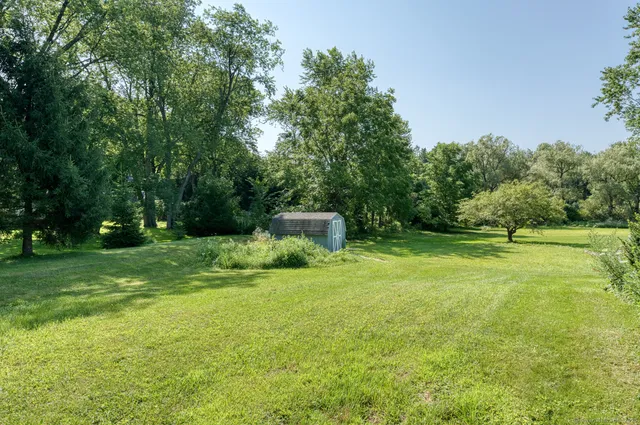 a backyard of a house with plants and large trees
