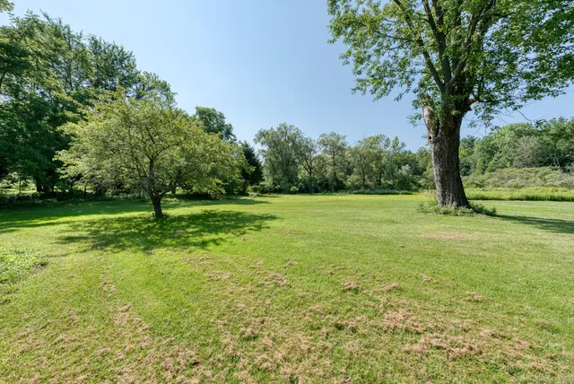 a view of a field with a tree