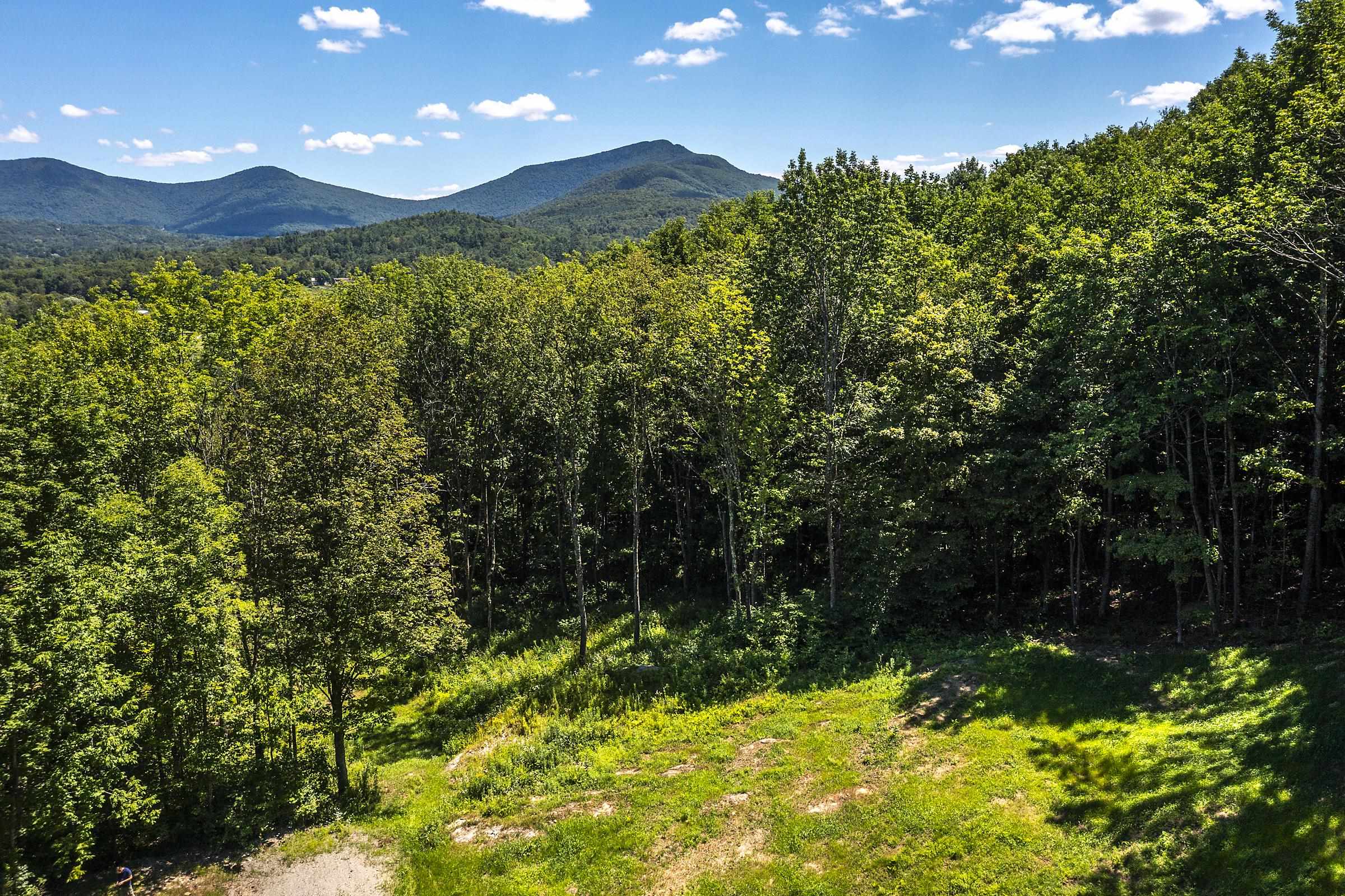 0 Foote Road Dorset, VT 05251 - Photo 1 of 16 Gallery Image 1