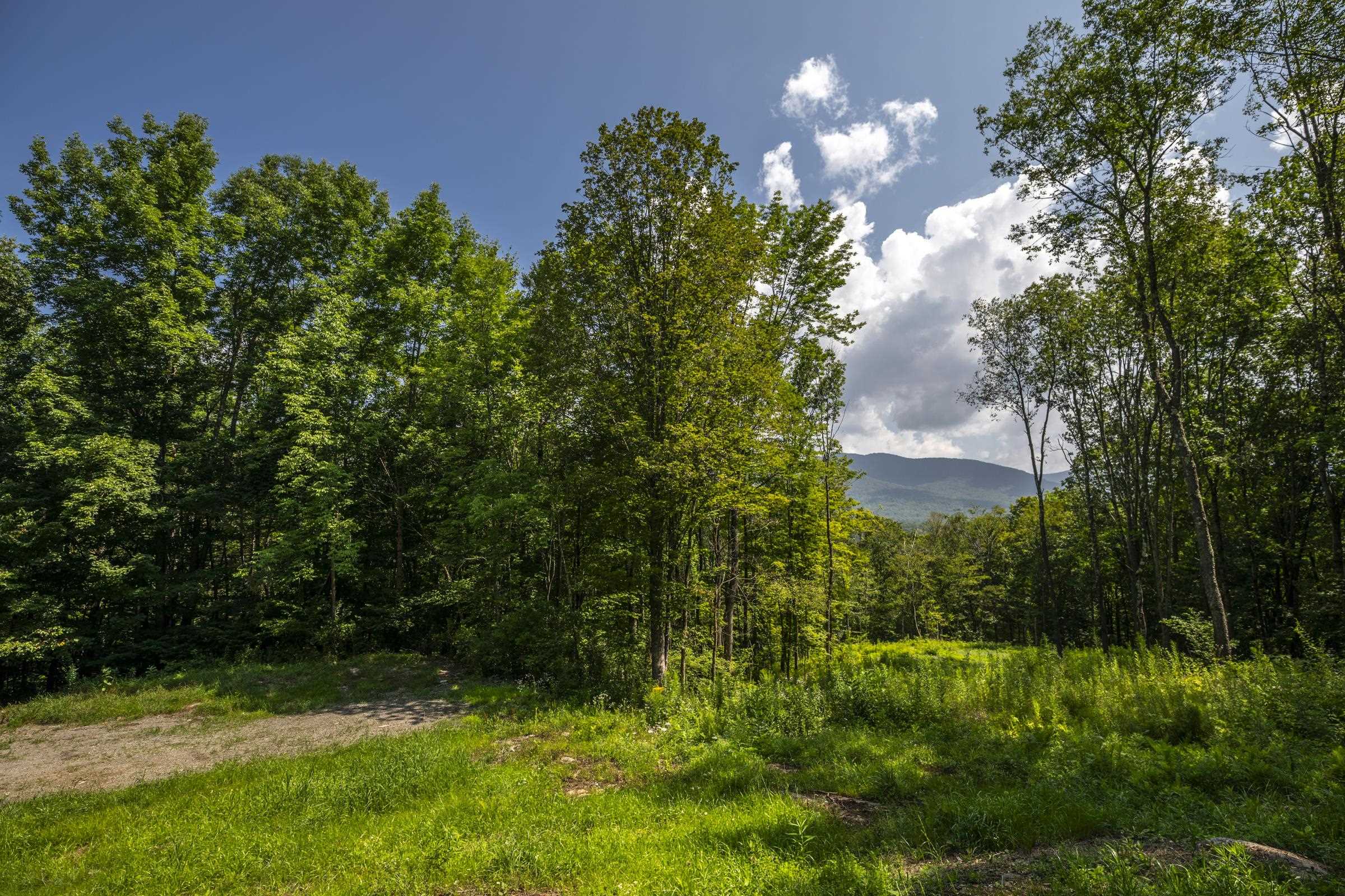 0 Foote Road Dorset, VT 05251 - Photo 2 of 16 Gallery Image 2