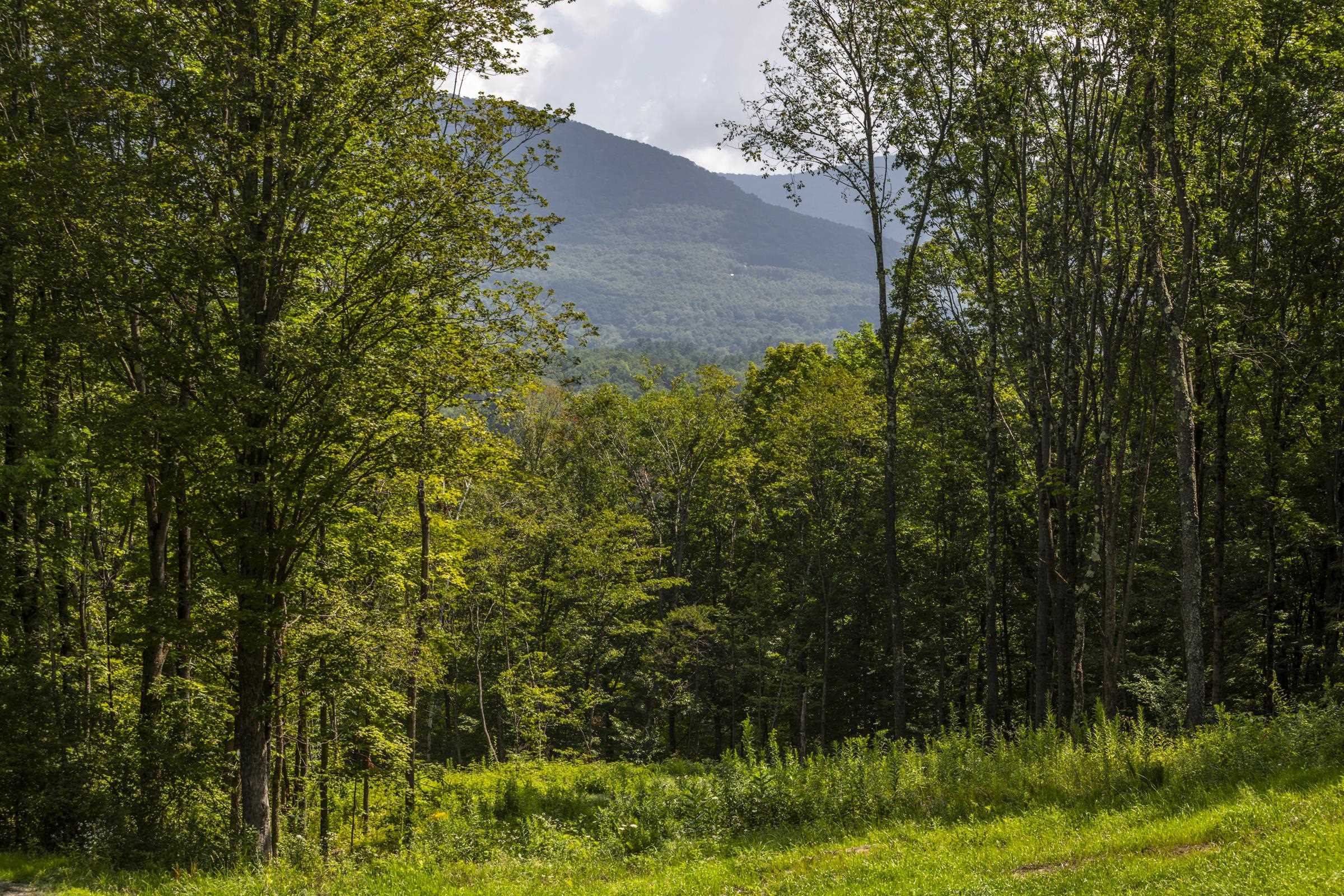 0 Foote Road Dorset, VT 05251 - Photo 4 of 16 Gallery Image 4