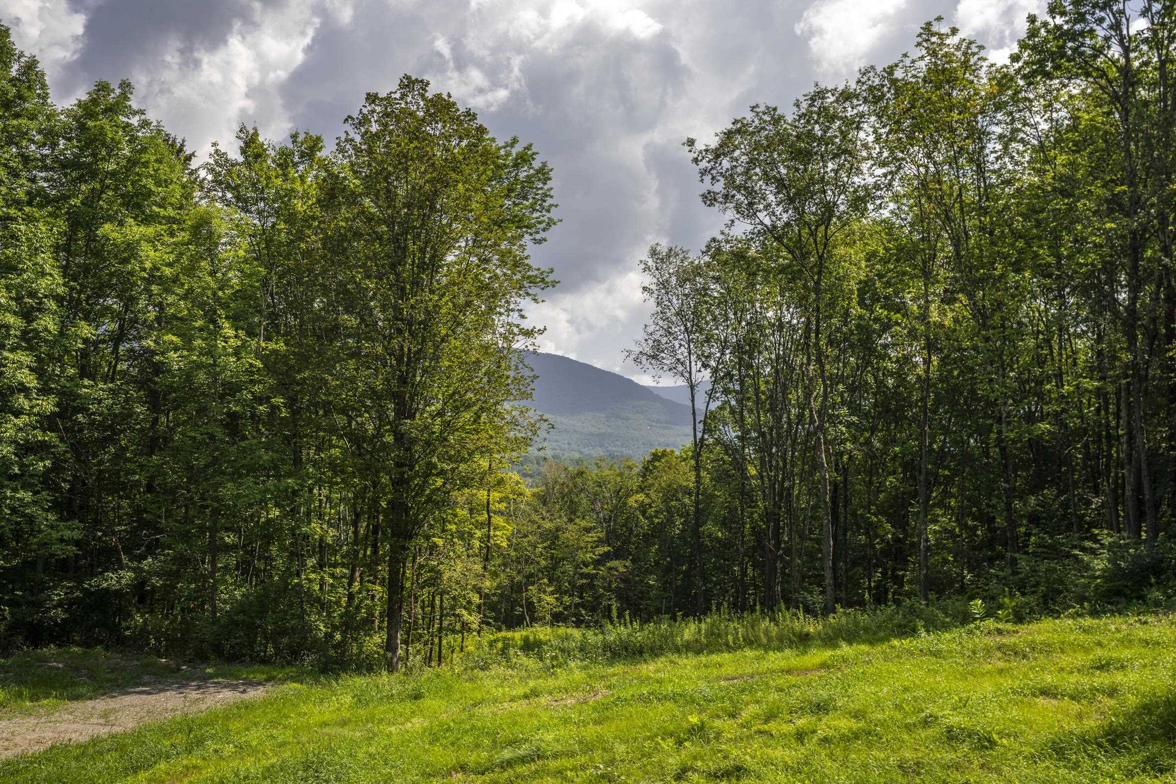 0 Foote Road Dorset, VT 05251 - Photo 5 of 16 Gallery Image 5