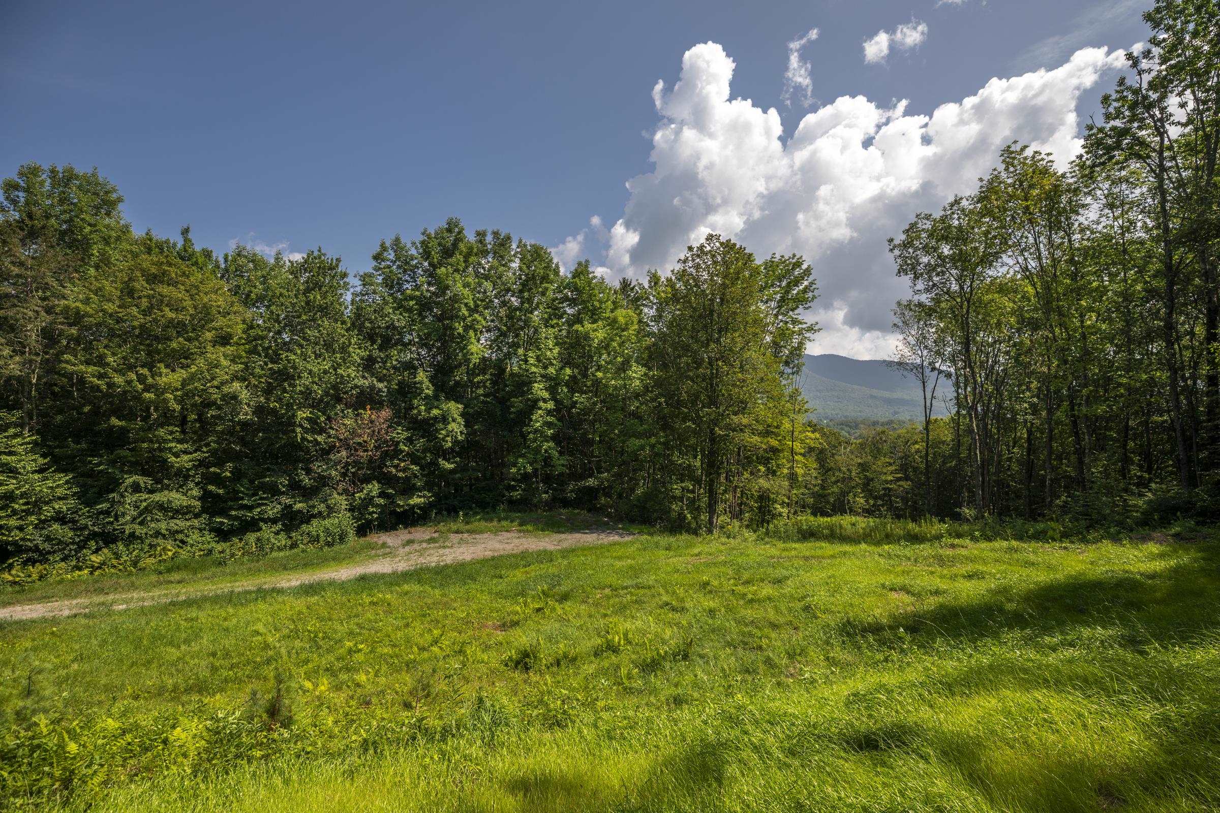 0 Foote Road Dorset, VT 05251 - Photo 6 of 16 Gallery Image 6