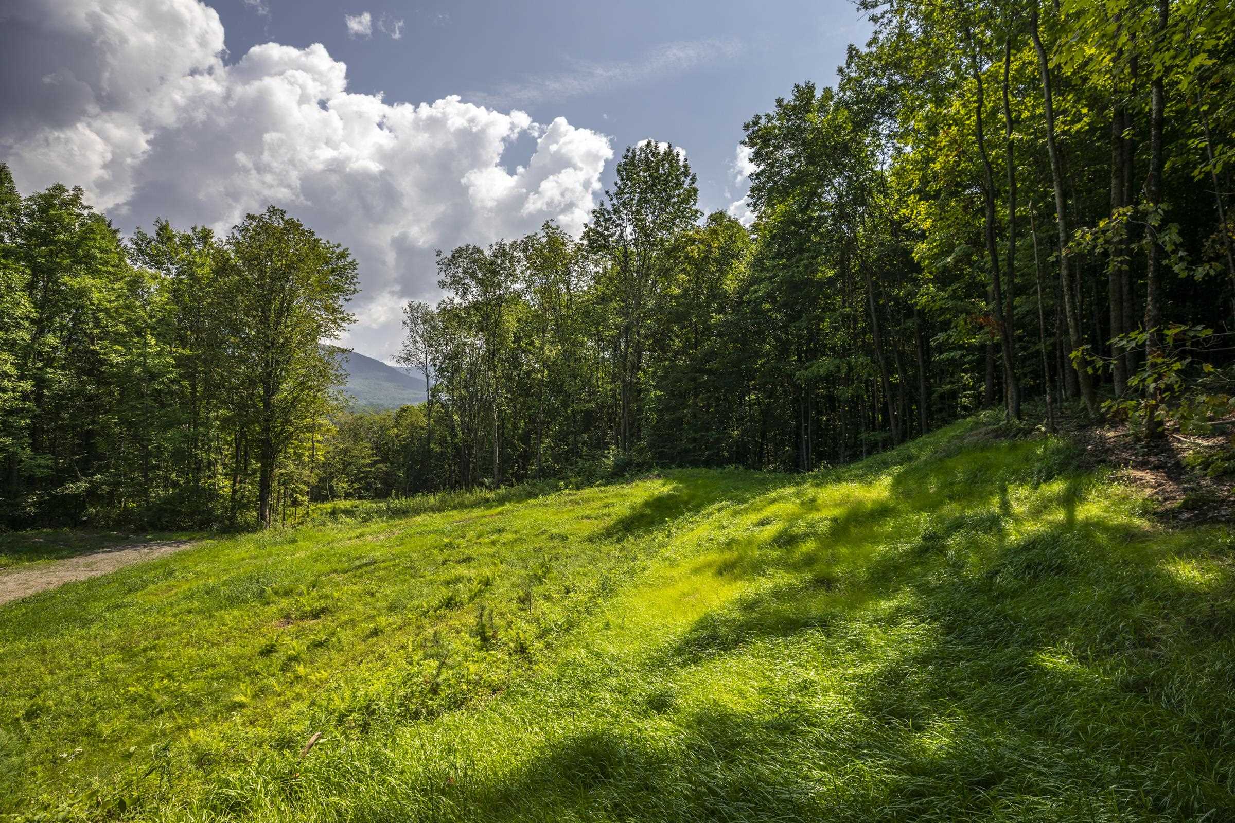0 Foote Road Dorset, VT 05251 - Photo 9 of 16 Gallery Image 9