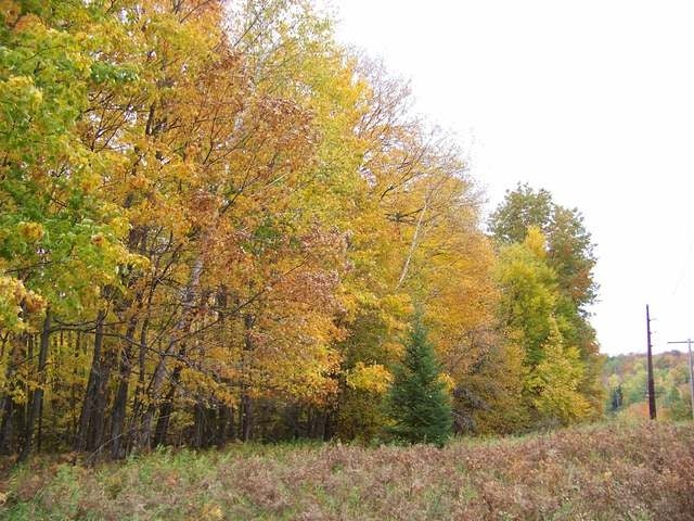 2819 St Louis Road Phelps, WI 54554 - Photo 11 of 17 Gallery Image 11