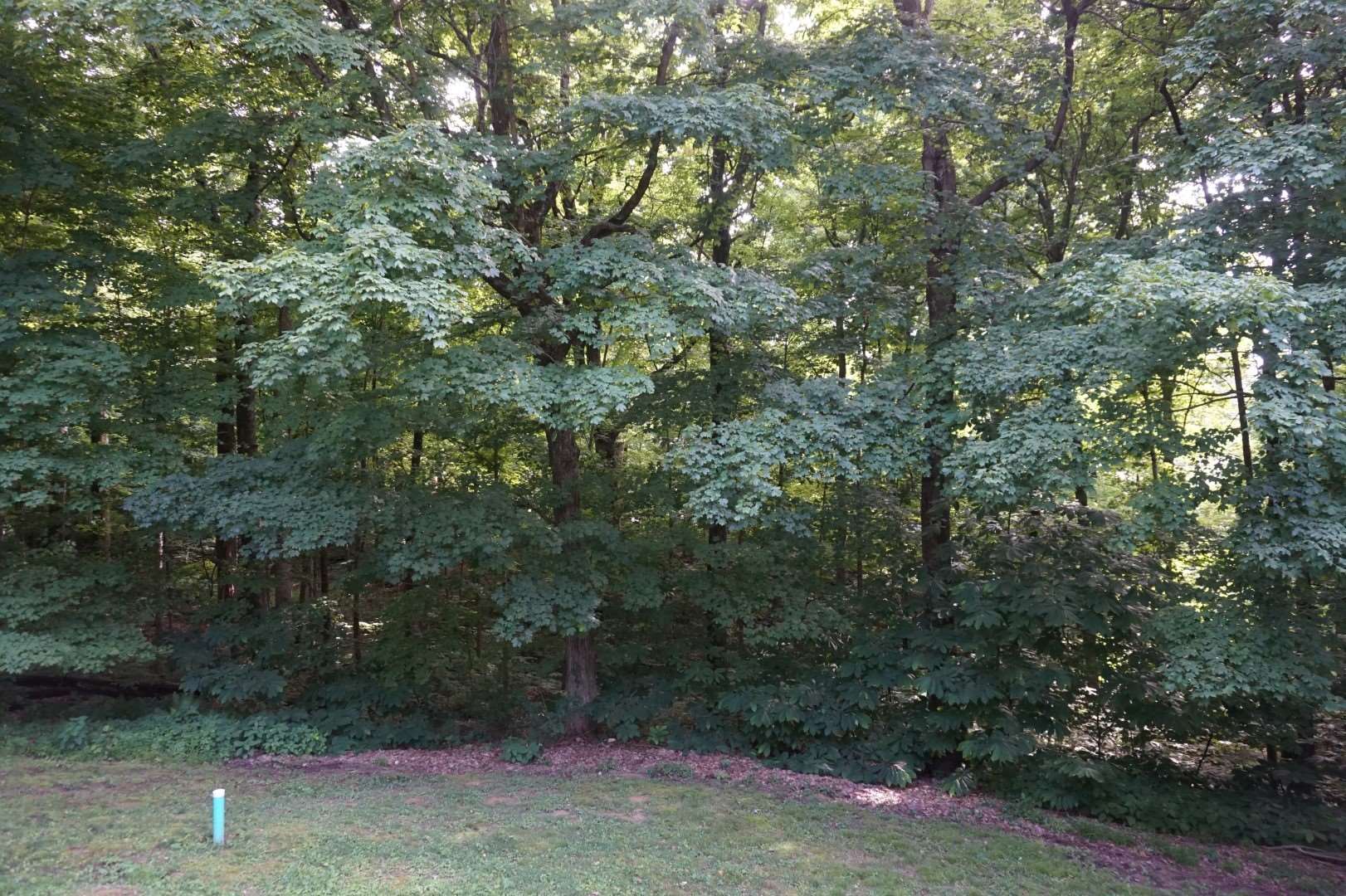 2491 North Miller Reed Lane Princeton, IN 47670 - Photo 5 of 36 Gallery Image 5