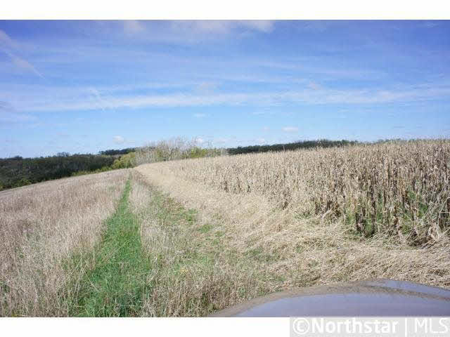 0 Laehn Ridge Road Alma, WI 54610 - Photo 10 of 12 Gallery Image 10