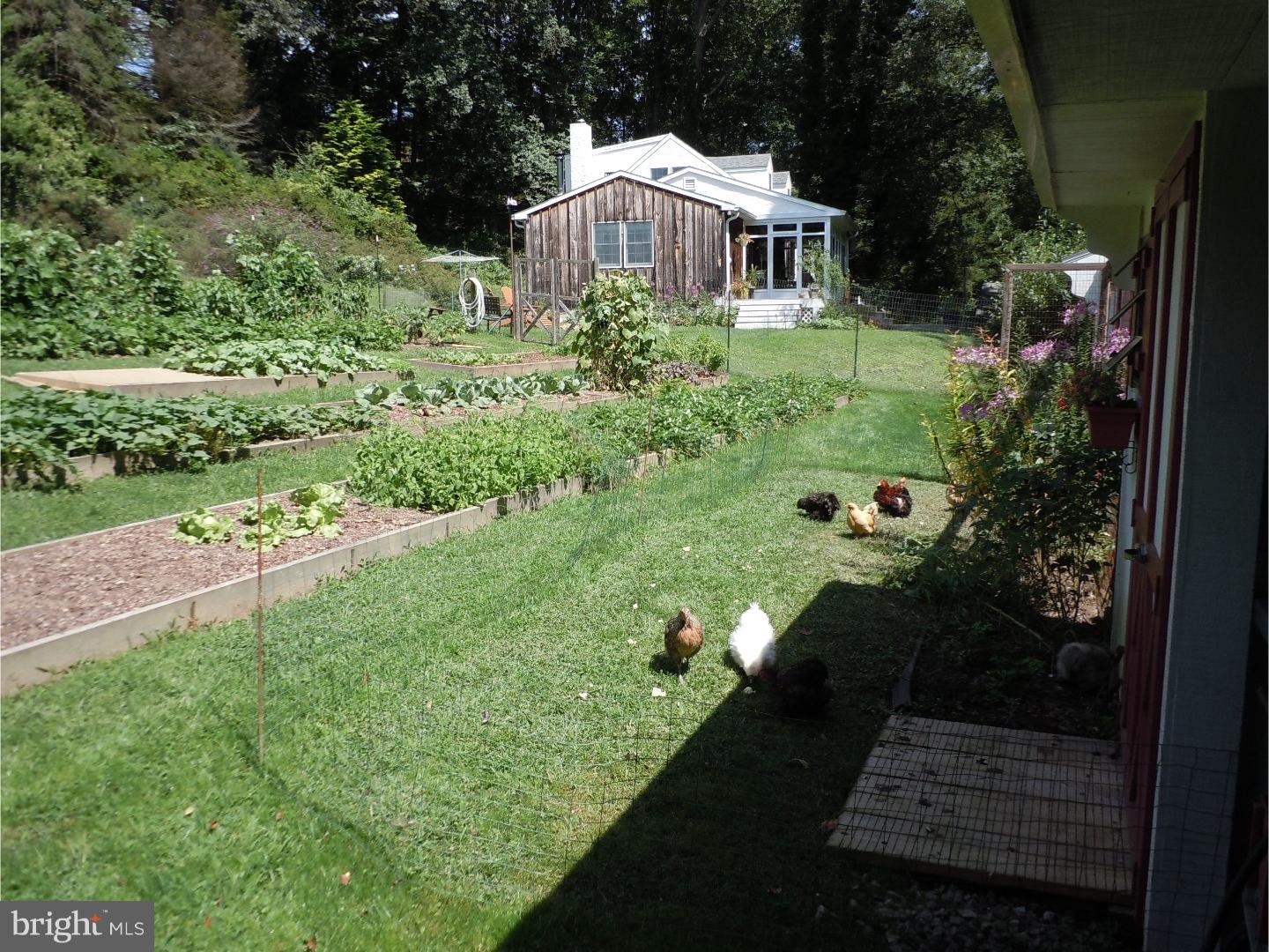 1215 South Caln Road East Fallowfield, PA 19320 - Photo 17 of 25 Side Yard