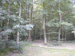 2355 Fort Ritner Road Bedford, IN 47421 - Photo 1 of 1 Gallery Image 1