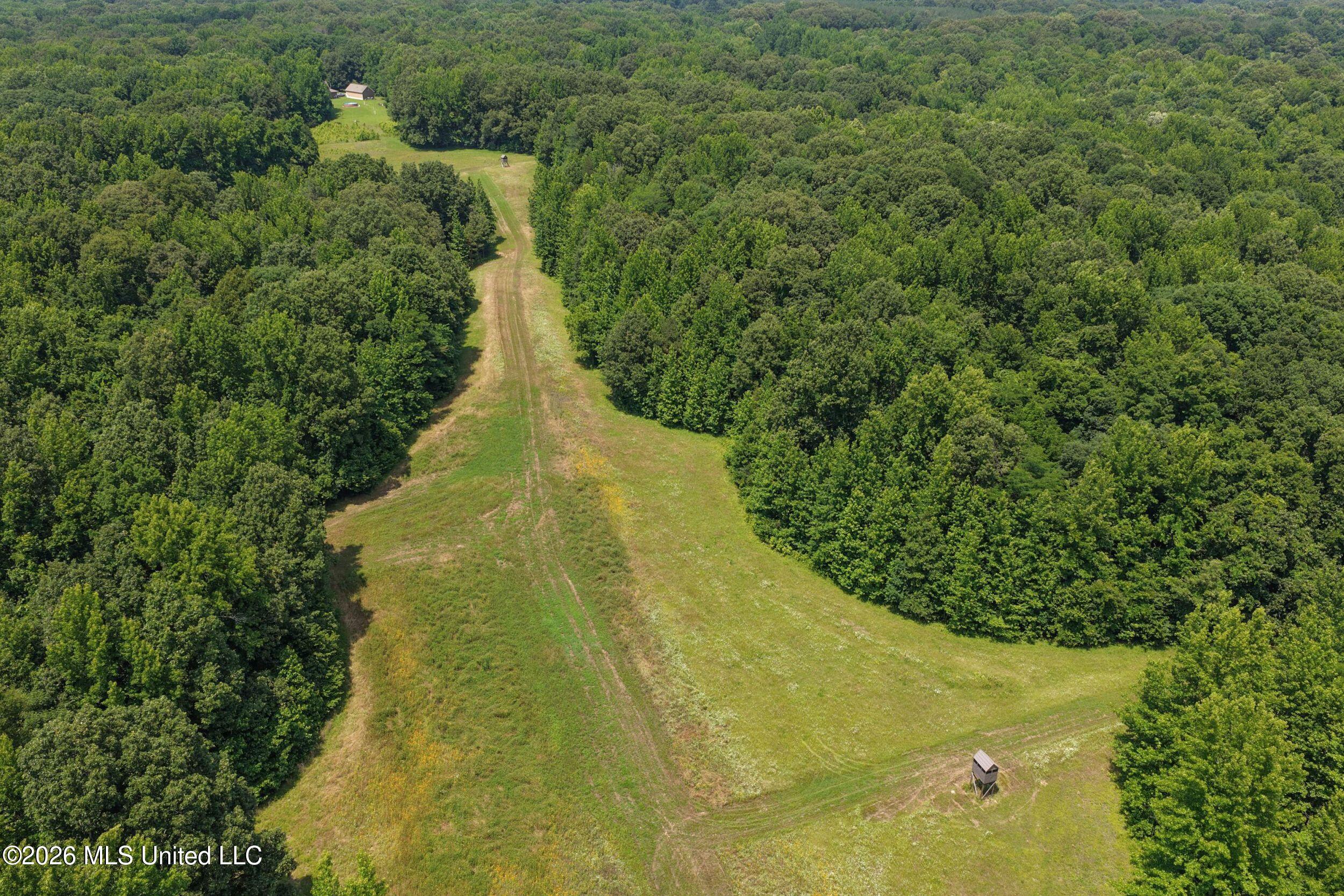 884 Avant Road Crenshaw, MS 38621 - Photo 38 of 154 4dbyicr33