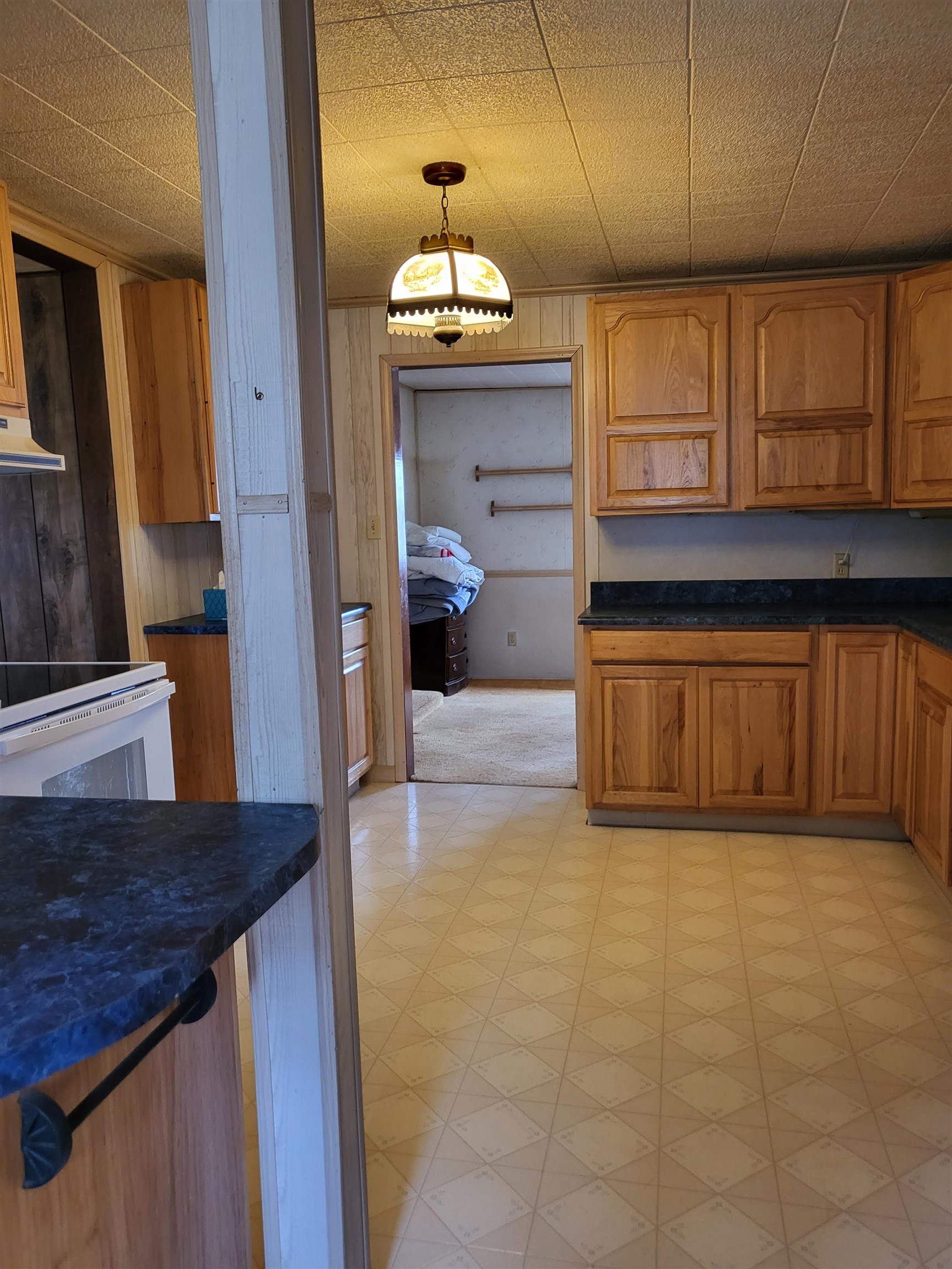 6957 Curtis Road Hale, MI 48739 - Photo 12 of 20 1898514-11.JPG