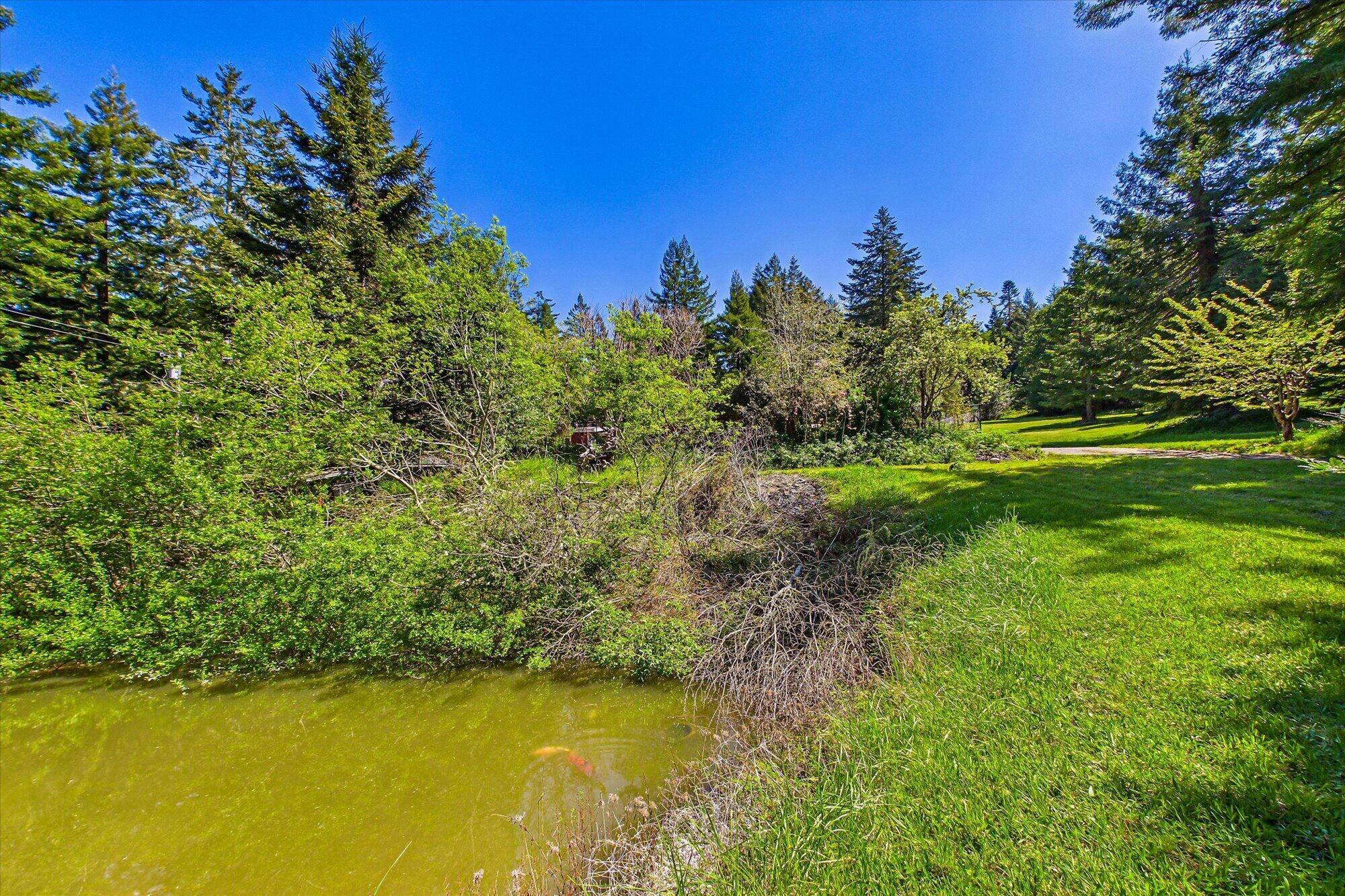 1430 Fox Creek Road Carlotta, CA 95528 - Photo 76 of 76