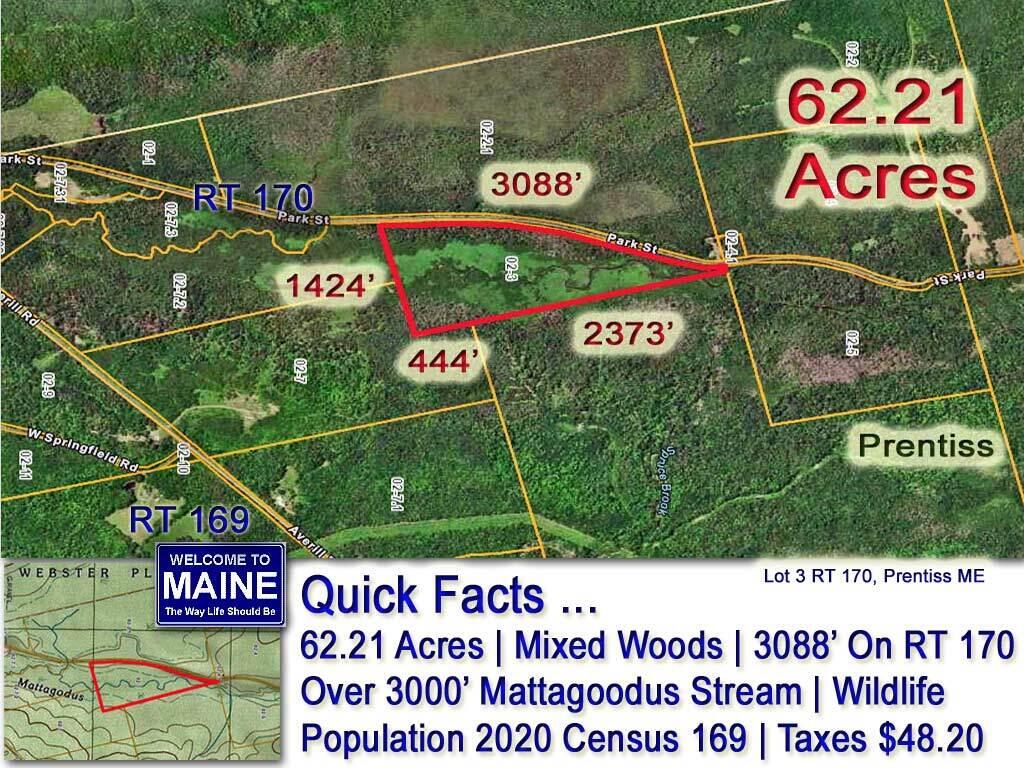 Lot 3 Rt 170 Road Springfield, ME 04487 - Photo 1 of 6 Prentiss-ME-Land-MLS