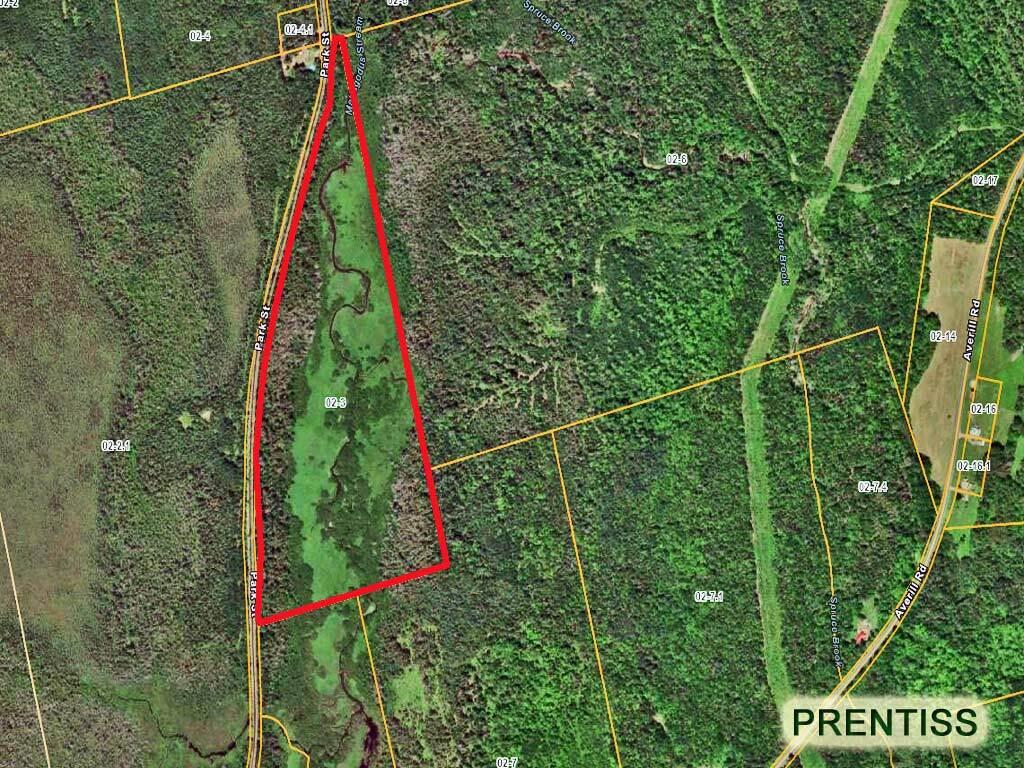 Lot 3 Rt 170 Road Springfield, ME 04487 - Photo 2 of 6 prentiss-me-land-170-aerial