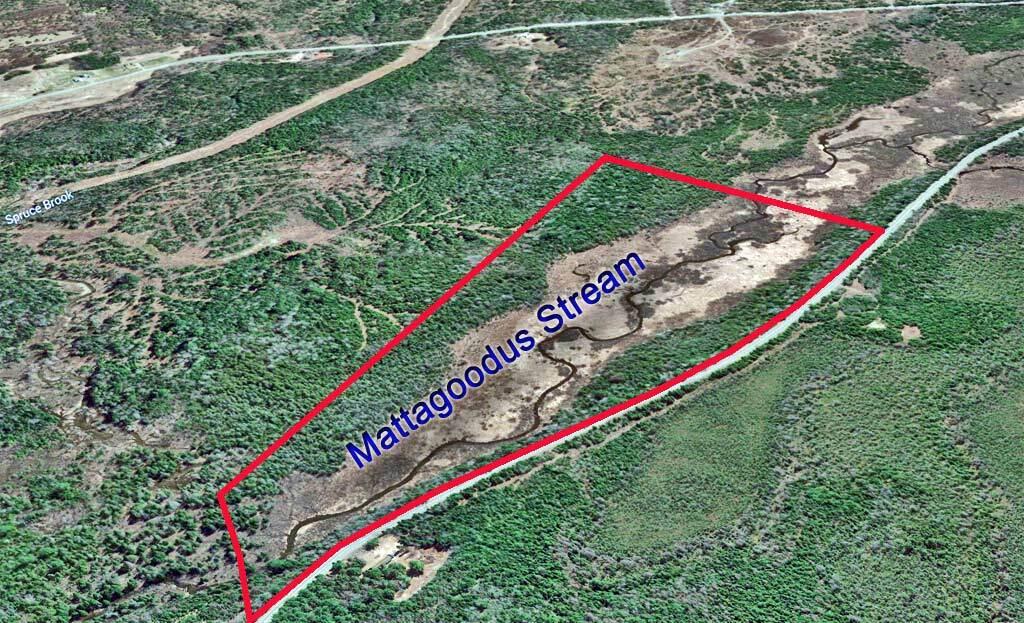 Lot 3 Rt 170 Road Springfield, ME 04487 - Photo 6 of 6 prentiss-me-mattagoodus-str