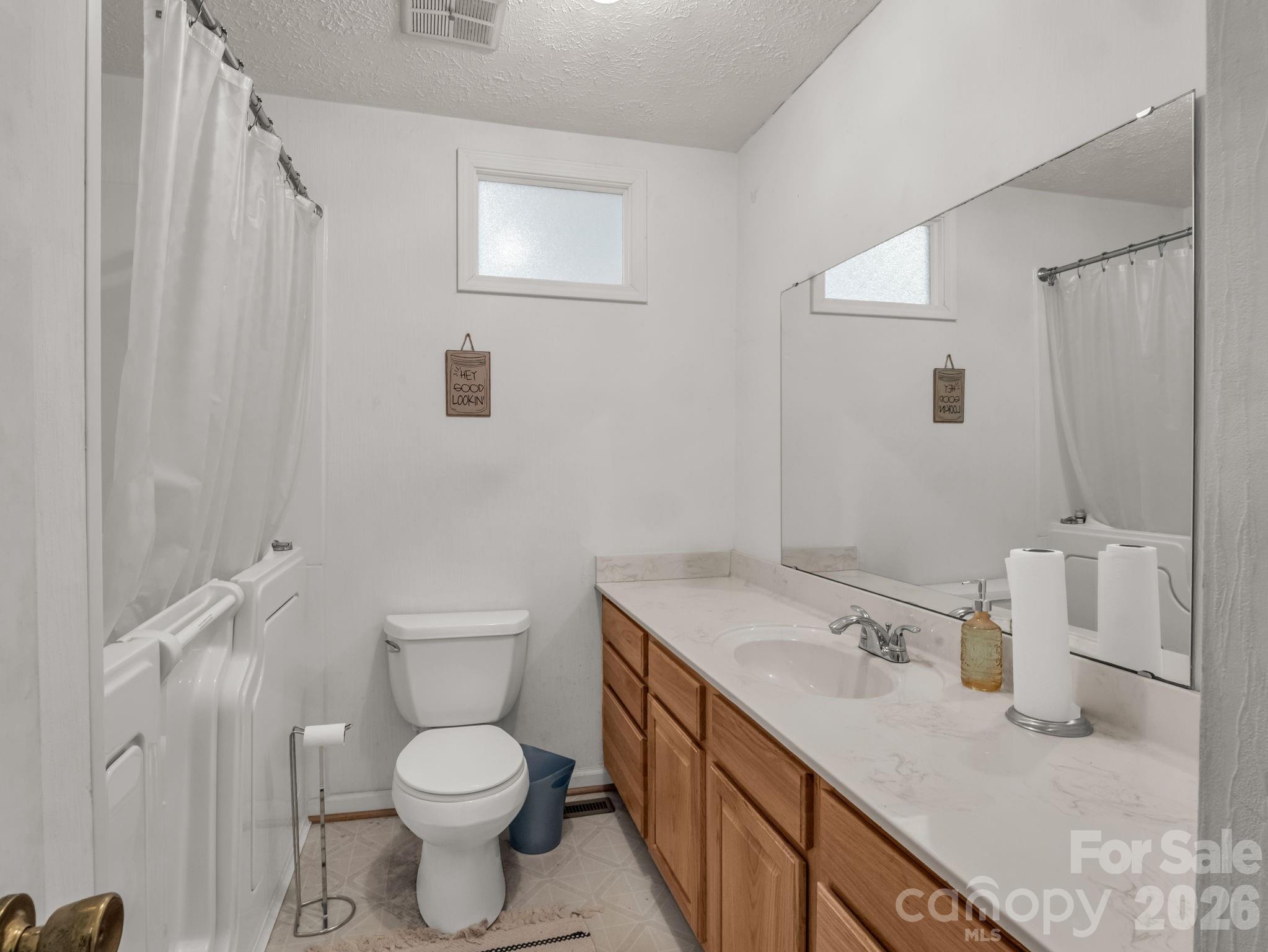755 Mt Olivet Road Zirconia, NC 28790 - Photo 19 of 35 a bathroom with a granite countertop sink a toilet and a mirror