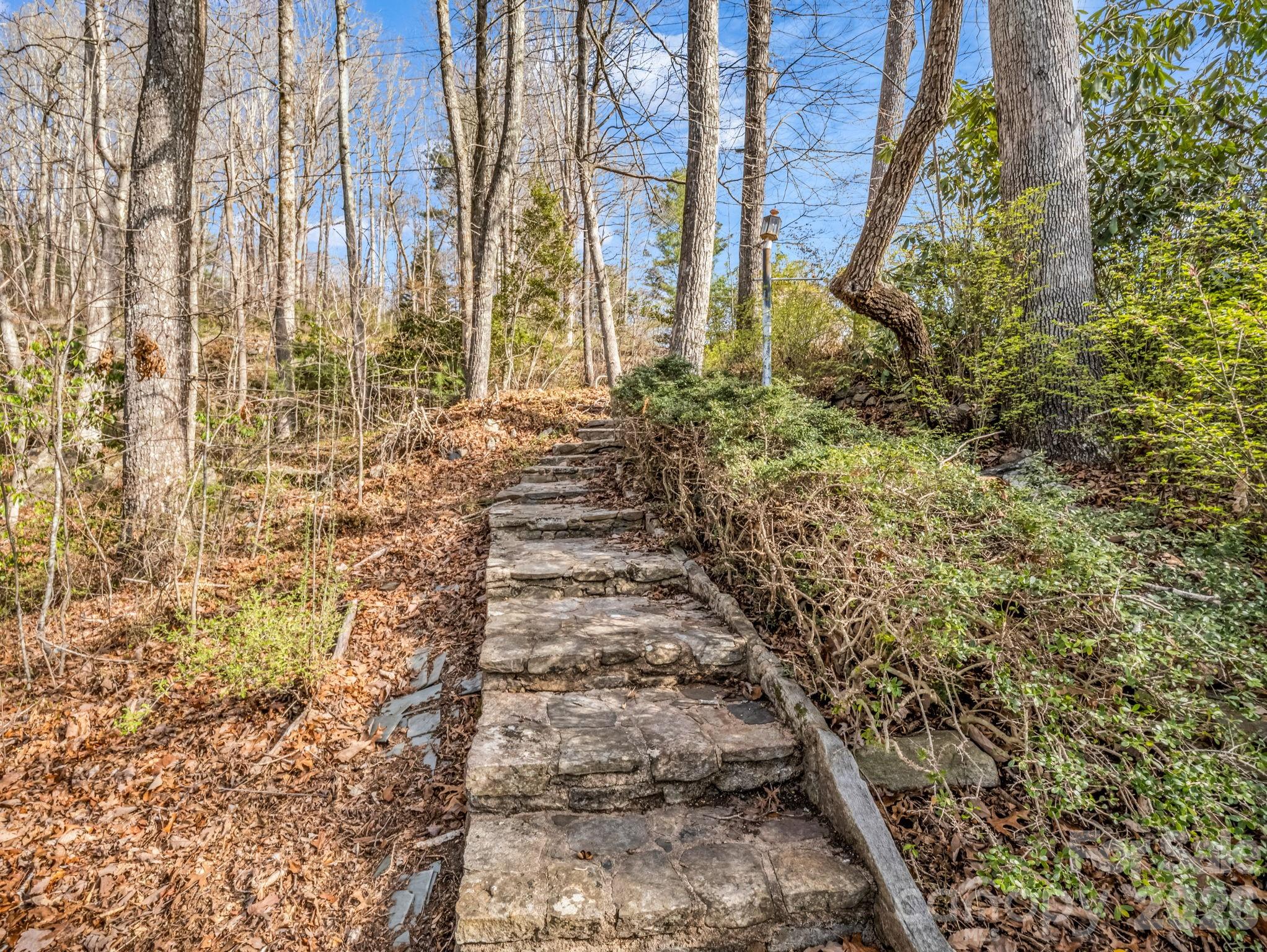 755 Mt Olivet Road Zirconia, NC 28790 - Photo 25 of 35 a view of a pathway with a yard