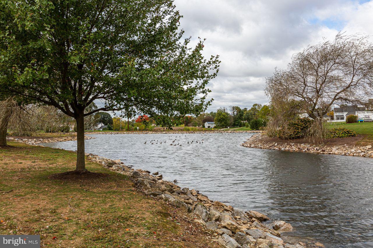 552 Wallingford Road Lancaster, PA 17601 - Photo 65 of 71
