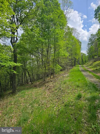 $42,900 | High View Road, Purgitsville, WV 26852